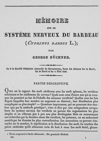 Mémoire sur le système nerveux du barbeau. Strasbourg: F. G. Levrault, Titelblatt