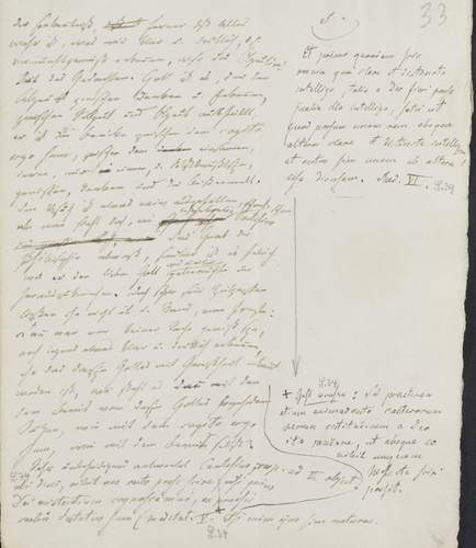 Goethe- und Schiller-Archiv Weimar Vorlesungsskript zum Cartesius-Manuskript; GSA 28; Foto: Klassik Stiftung Weimar