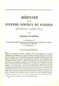 Mémoire sur le système nerveux du barbeau (Titelblatt)